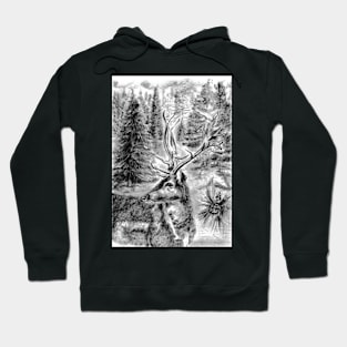 Reindeer portrait Hoodie